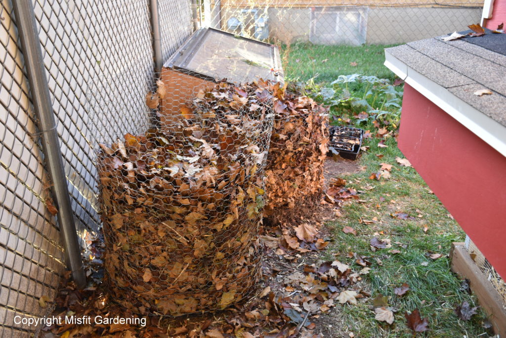 Leaf Mold Bin Misfit Gardening