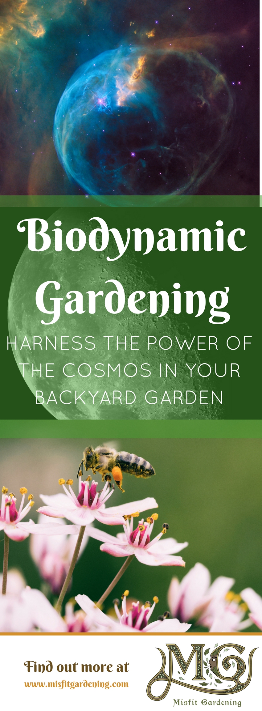 My Biodynamic Gardening Experiment - Misfit Gardening