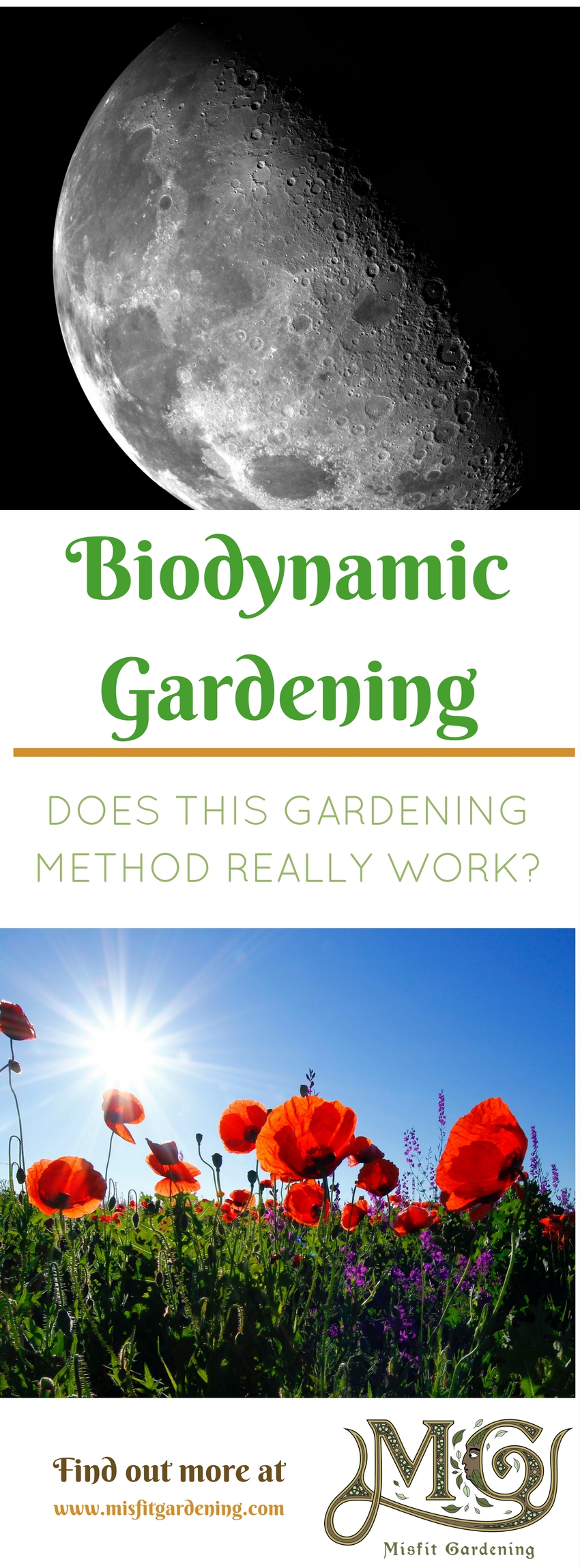 My Biodynamic Gardening Experiment - Misfit Gardening