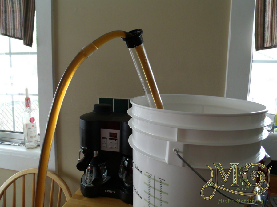 How To Make Beer At Home Step By Step - Misfit Gardening