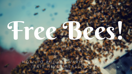 Free Bees Building Swarm Traps - Misfit Gardening