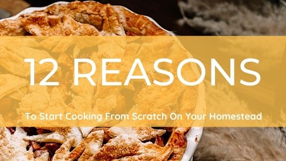 12 Reasons To Start Cooking From Scratch On Your Homestead - Misfit ...